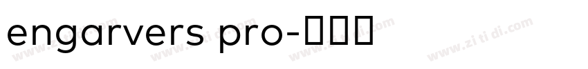 engarvers pro字体转换